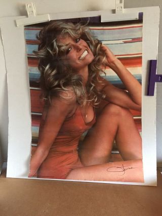 1976 Farrah Fawcett Swimsuit 20 " X 28 " Poster
