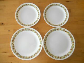 4 Corelle Spice Of Life Plates - 2 Dinner Plates & 2 Salad Plates -
