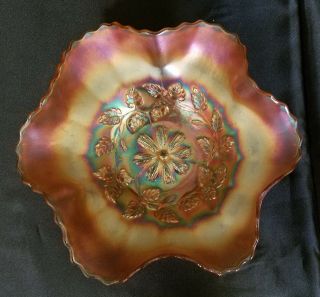 Antique Dugan Glass Cosmos Variant Marigold Carnival Glass Bowl,  Circa 1904 - 1913