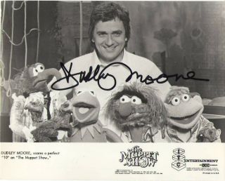 The Muppet Show Signed Dudley Moore Tv Photo Rare Comedian Deceased Near