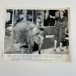 Vintage Press Photo Abc Tv Show Bewitched 1965 Marion Lorne Elephant