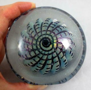 Signed Eickholt 1994 Dichroic Studio Art Glass Paperweight Sea Life Seashell