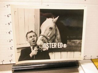 Cbs Tv Studio Show Promo Photo 1960s Mr.  Ed Horse Alan Young Title 6 Bite