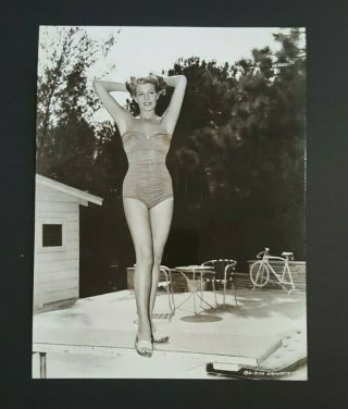 Rko Radio Picture " Slightly Scarlet " Rita Hayworth Swimsuit Photo Diving Board