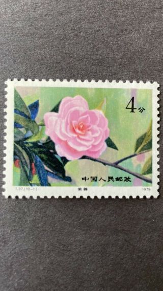 FULL SET OF CHINA CHINESE STAMPS T37 1530 - 1539 1979 CAMELLIAS OF YUNNAN MNH OG 2