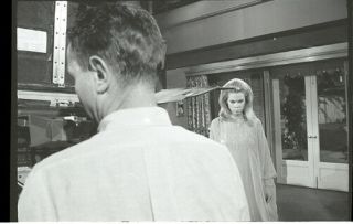 Elizabeth Montgomery Camera On Set Bewitched 1967 Abc Tv Photo Negative