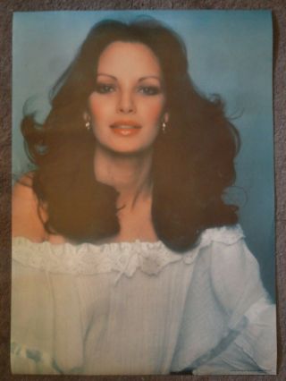 Vintage Gorgeous Jaclyn Smith Charlie 