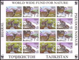 Tajikistan Wwf Bharal Imperforated Sheetlet Of 4 Sets Mnh
