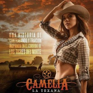 Camelia La Texana,  Novela Mexico,  10 Discos,  60 Cap 2014.  Exelelente