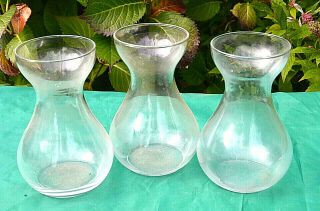 Three Victorian Hyacinth Growing Glasses Just Fill With Water - Bulb In & Grow