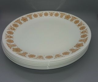 7 Vintage Corelle Butterfly Gold 10 1/4” Plate Dinner Plates