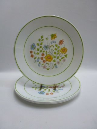 Corelle Spring Meadow 10 - 1/4 " Dinner Plates Set Of 4
