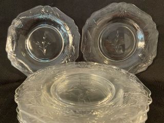 Set Of 8 Vintage Etched Clear Glass Dessert Salad Lunch Plates 8.  25in