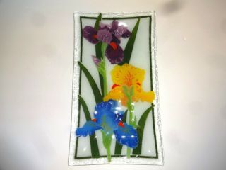 Peggy Karr Fused Glass Rainbow Iris Irises Rectangular Tray Plate Dish