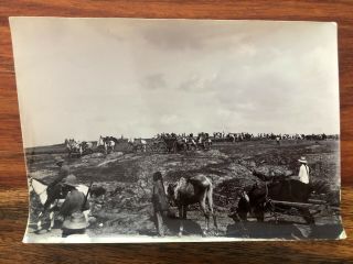 China Old Photo Chinese Soldiers Troop Horse Cart Tsingtau