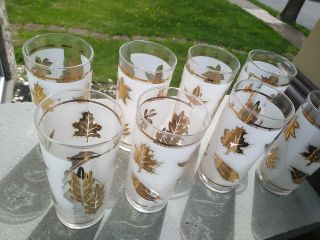 Vintage Set Of 8 Federal Frosted Gold Leaf Iced Tea Or Water Glasses Orig Box