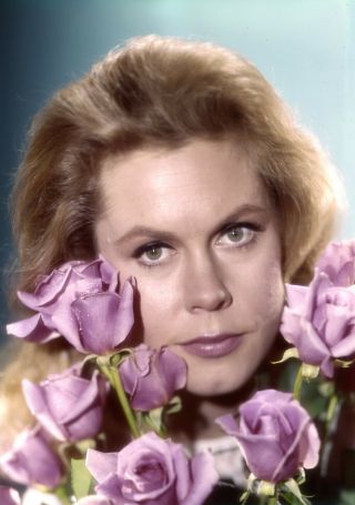 Bewitched Star Elizabeth Montgomery 1960s Color Film Transparency 5x7