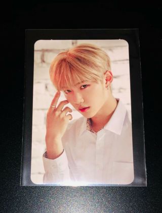 Stray Kids - Felix Hi - Stay Tour Final In Seoul Official Photocard