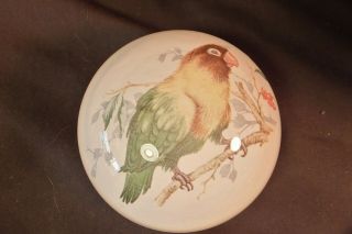 Spectacular Vintage Murano Sulphide Hand Painted Bird Parrot Paperweight 4.  33 "