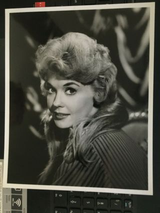 Donna Douglas,  Beverly Hillbillies 1960s Vintage Press Headshot Photo