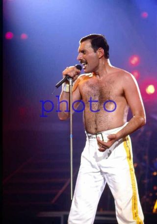 Freddie Mercury 11,  Barechested,  Shirtless,  Queen,  Bohemian Rhapsody,  8x10 Photo