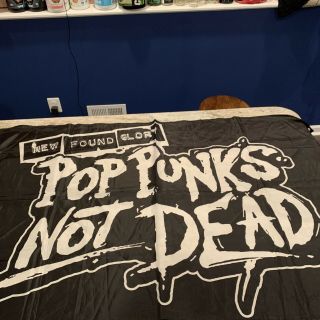 Found Glory Pop Punks Not Dead Banner