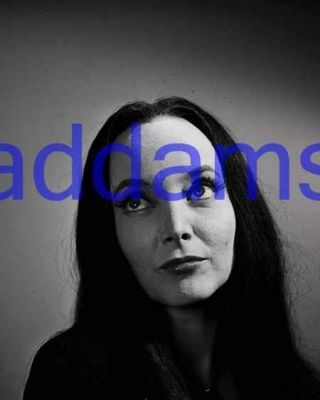 The Addams Family 4,  Carolyn Jones,  8x10 Photo
