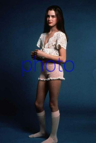 Brooke Shields 176,  8x10 Photo,  Pretty Baby,  The Blue Lagoon,  Suddenly Susan