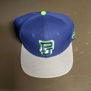 Pearl Jam Seattle 2018 Snapback Hat.  Seahawks Colors Baseball Cap.  Vedder