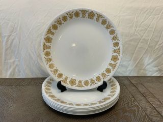 Vintage Corelle Butterfly Gold 8.  5” Salad Plates Set Of 6 Retired