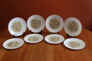 Vintage Corelle By Corning Indian Summer Set Of Eight Dinner Plates Gently