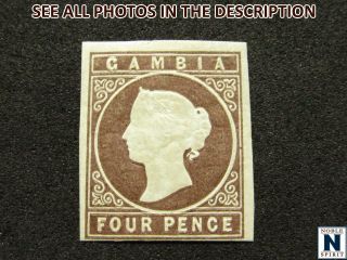 Noblespirit (rb) Fantastic Gambia No.  1 Mh =$575 Cv