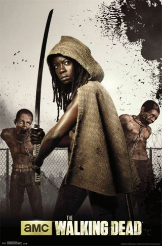 Amc Films The Walking Dead Michonne & Twins Poster Print 22x34