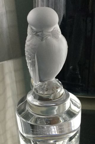 Lalique France Frosted Crystal Figurine Bird Of Prey - Hawk/baby Eagle? 3” Tall