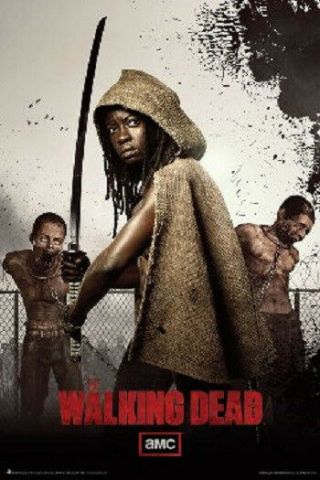 Amc Films The Walking Dead Michonne & Twins Poster Print 24x36