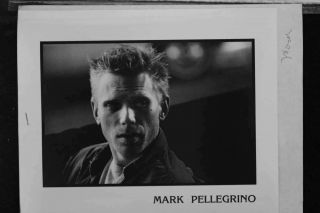 Mark Pellegrino - 8x10 Headshot Photo With Resume - Movies Kill