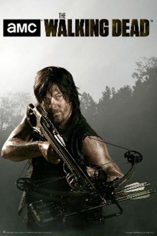 Amc Films The Walking Dead Daryl & Crossbow Poster Print 24x36