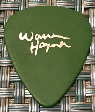Warren Haynes/allman Brothers Official Tour Guitar Pick (green)