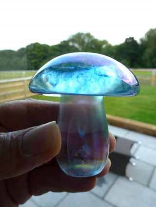 John Ditchfield Glasform Mushroom Complete With Label.
