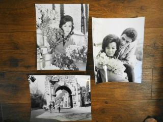 Annette Funicello Tommy Kirk 3 - 8x10 Escapade In Florence