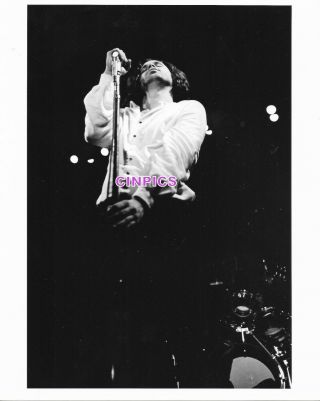 Jim Morrison - Stamped Jason Laure Photographer N.  Y.  C.  - Photographer Reissue 8x10