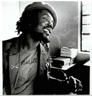 (229) Peter Tosh (bob Marley) Rare 8x8 " B&w Publicity Photo Cca 1976