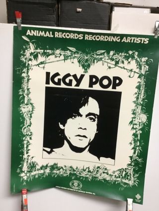 Iggy Pop.  1982 Animals Records Promo Poster