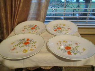 4 Corelle By Corning Wildflower Green Band Dinner Plates 10 1/4 " Ex