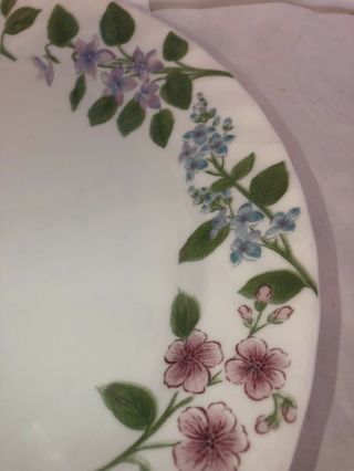 Corelle DELICATE ARRAY Dinner Plates Set of 3 Floral 10 - 1/4 
