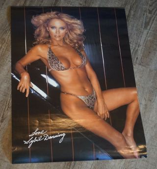 1981 Sybil Danning Swimsuit 20 " X 28 " Poster