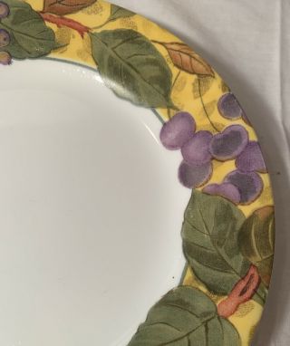 4 Corelle Tuscan Vine Luncheon Plates 8 1/2” Grapes 3