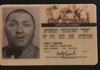 Curly Howard The Three Stooges Novelty Drivers License Id Collectors Card Moe