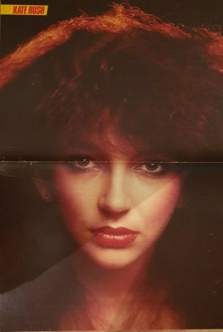 Clippings Cuttings - Kate Bush - Prince - Poster 10x16 Inch S - 397