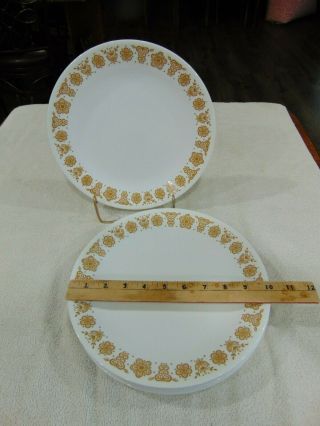 Corelle Butterfly Gold Dinner Plates Set Of 10